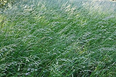 前贝姐声优呼吁玩家省下买游戏的钱捐给反堕胎组织